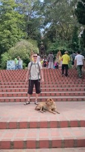 Honza, dog and stairs to Wat Prathat