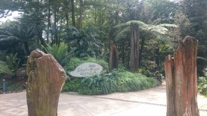 Botanic garden