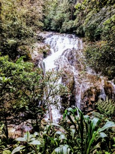 Robinson waterfalls 