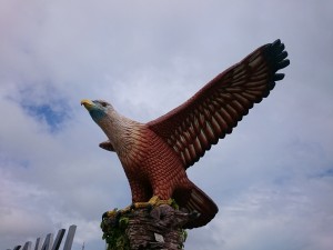 Langkawi eagle in the port