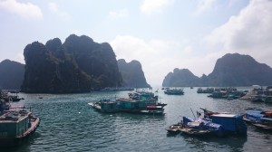 In the harbour in Halong