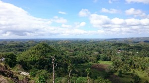 Chocolate hills