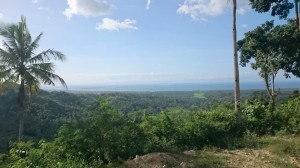 View at seacoast and Cebu island